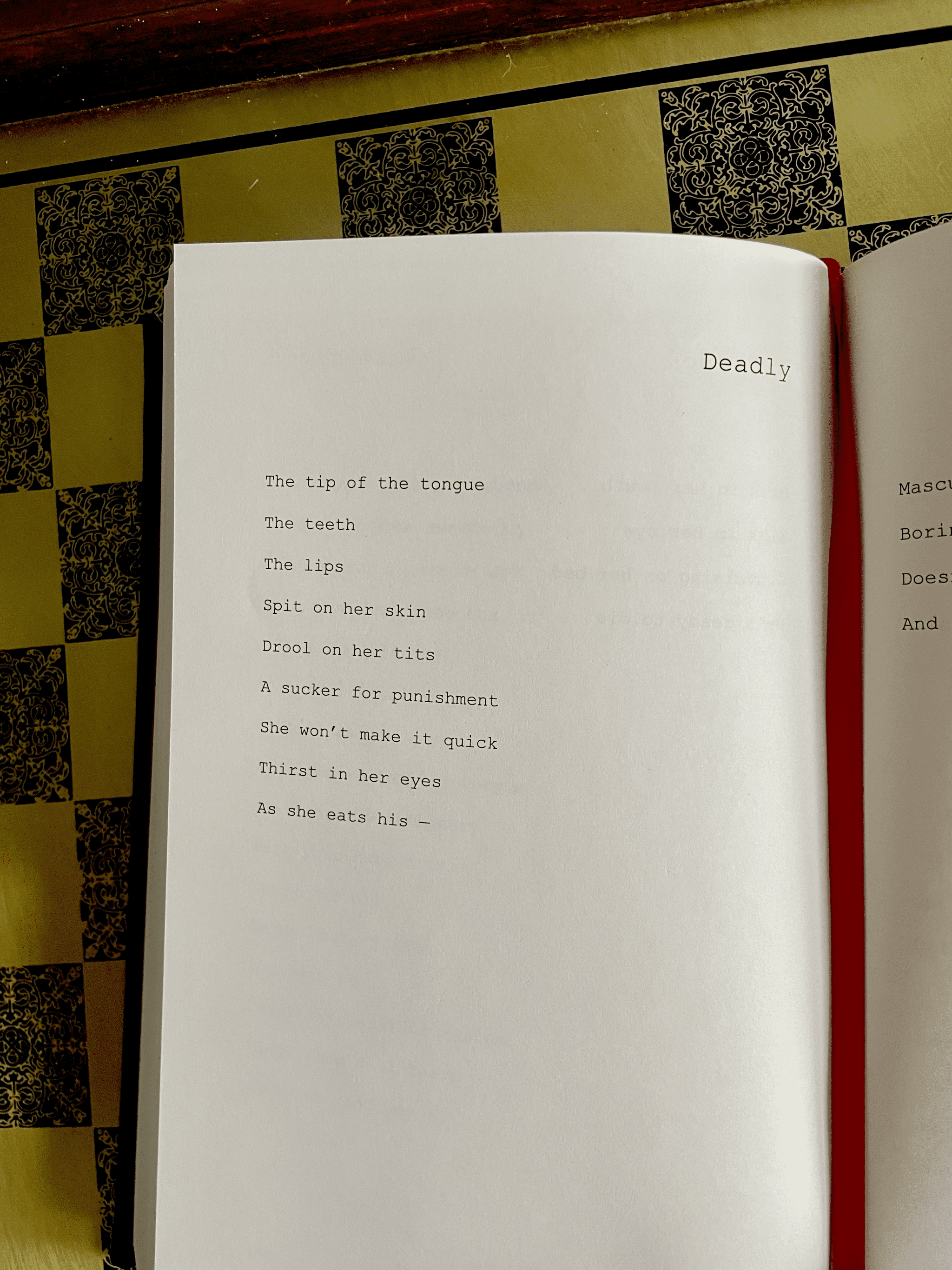 POEMS FOR SLUTS - Limited Edition - Image 8